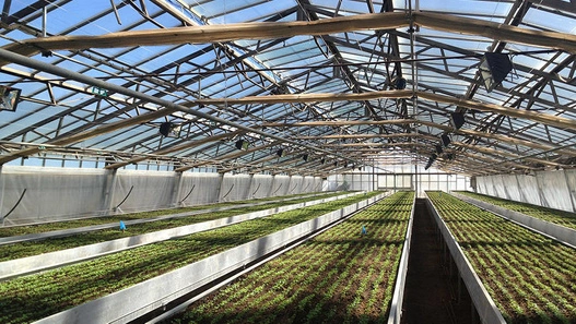 Promiennik podczerwieni VARMA WR2000/20 2000W z szybą