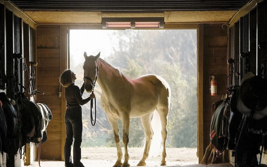 Promiennik podczerwieni Solamagic ECO+ PRO 2800