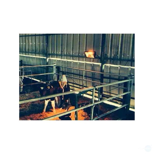 Promiennik podczerwieni VARMA ECOWRN 1300W IP54 z szybą